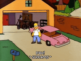 homer simpson car GIF