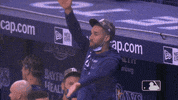 Major League Baseball Sport GIF by MLB