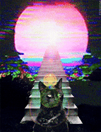 Cats Yes GIF by PEEKASSO