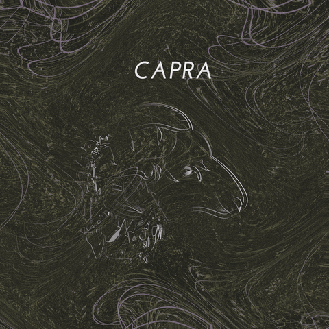 capra GIF by A.M.T.G. G.G.