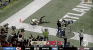 Regular Season Football GIF by NFL