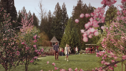 cherry blossoms hallmarkies GIF by Hallmark Channel