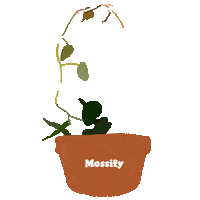 Art Love Sticker by Mossify