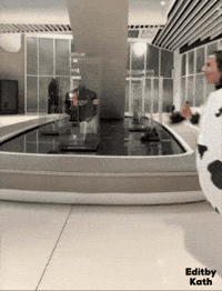Cow Ho GIF