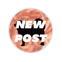 twotibetansdigital dog rainbow newpost camera Sticker