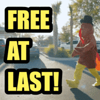 Thanksgiving Turkey GIF by The Lovely Law Firm Injury Lawyers