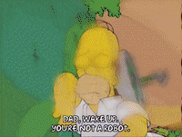 homer simpson GIF
