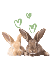 Easter Bunny Sticker by Heupaeckchen