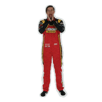 Chaz Bathurst Sticker by Supercheap Auto