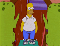 homer simpson Kang GIF