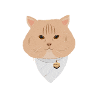 Cat Meow Sticker