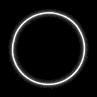 Loop Flying GIF by virartz