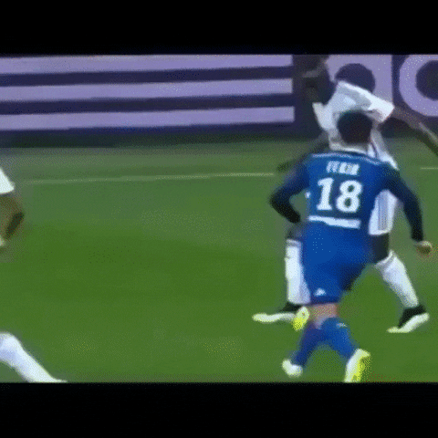 nutmeg GIF
