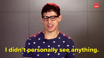 I Didn't See Anything