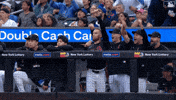 Baseball Mlb GIF by New York Mets