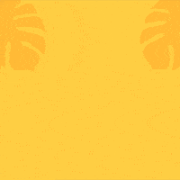 Read Happy Hour GIF by Jessica Lau