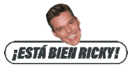 Ricky Martin Mexico Sticker by Brada