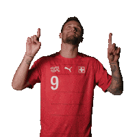 Swipe Up Haris Seferovic Sticker by Swiss Football Association