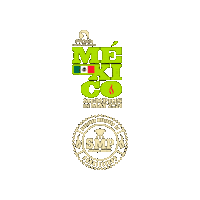 Fire Memphis Sticker by Sociedad Mexicana de Parrilleros