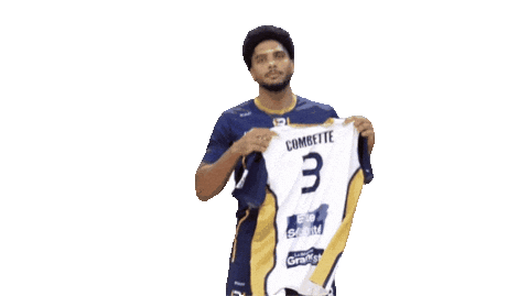 Volleyball Sticker by Reims Volley 51