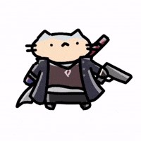 Devil May Cry Cat GIF