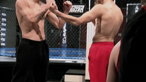 usa stare GIF by UFC