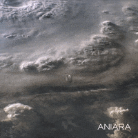 star wars film GIF by Magnolia Pictures