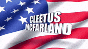 America GIF