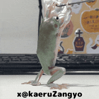 kaeruZangyo frog muscle かえる 筋トレ GIF