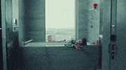 New York Friends GIF by Evann McIntosh