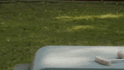 Lets Go Socks GIF by Best Youth