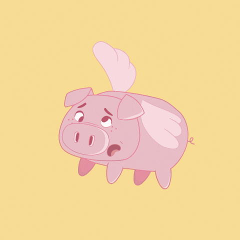 Confused Flying Pig GIF by PositivelyPigasus
