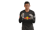Weiter Come On Sticker by RB Leipzig