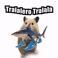 Nurungi GIF