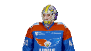 unisflyers save eagles flyers nederland Sticker