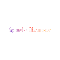 Summertowin Sticker by Guard For Life