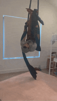 yipoa crazy alex swinging yipoa GIF