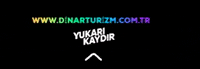 dinarturizm dinar dinarturızm GIF