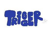 Nct Dream Rocket Sticker