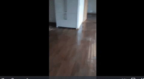 jseinyyi giphyupload GIF