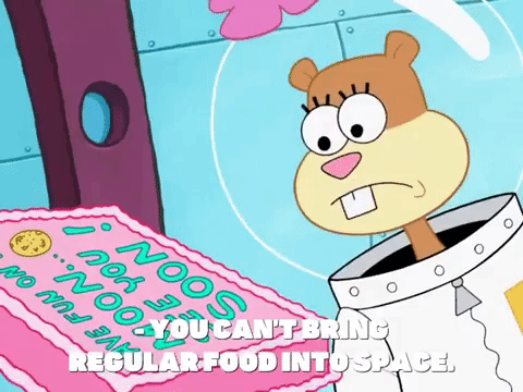 season 8 spongebob's runaway roadtrip: mooncation GIF by SpongeBob SquarePants