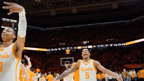Basketball College GIF by Tennessee Athletics