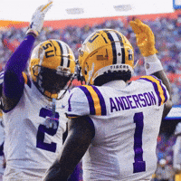 College Football GIF by LSU Tigers