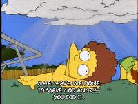 season 5 todd flanders GIF