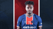 France What GIF by Paris Saint-Germain Handball