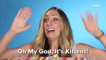 Cat Surprise GIF by BuzzFeed