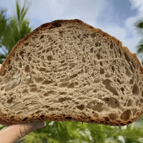 ssbmiami bread slice ssb sourdough GIF