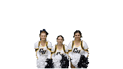 Sport Heart Sticker by Clarke University