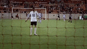 football yes GIF by Houston Dash