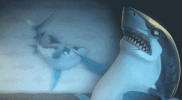 hungry-shark  GIF